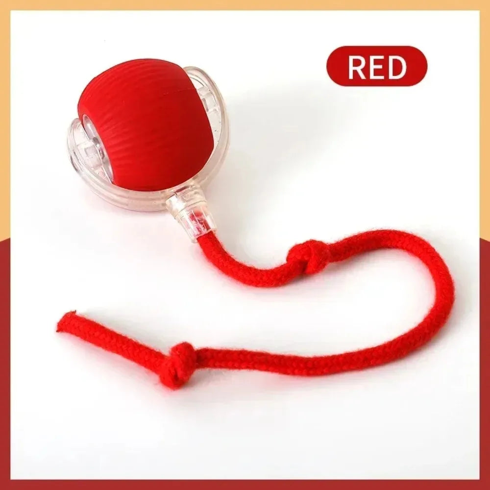 Pet Intelligence Stimulation Toy
