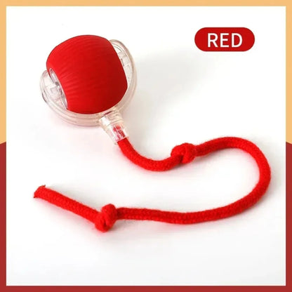 Pet Intelligence Stimulation Toy