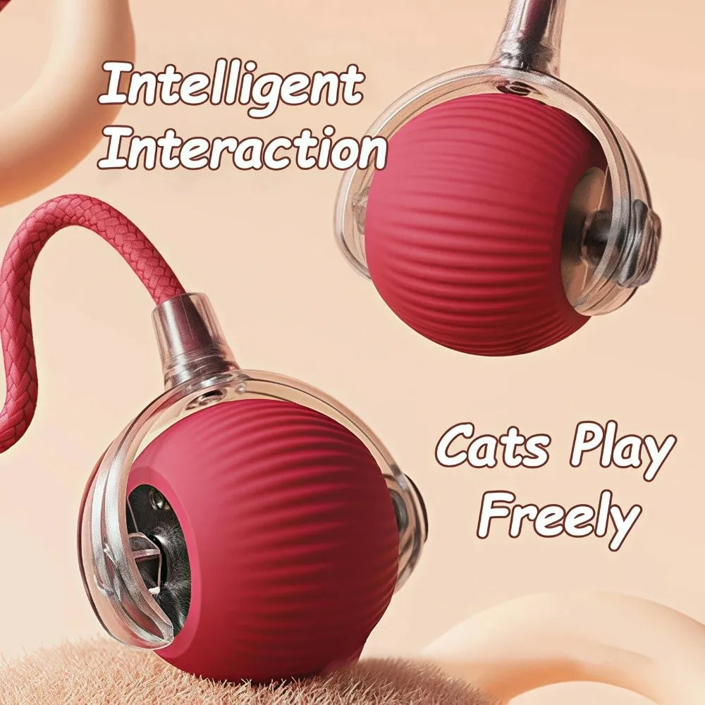 Pet Intelligence Stimulation Toy