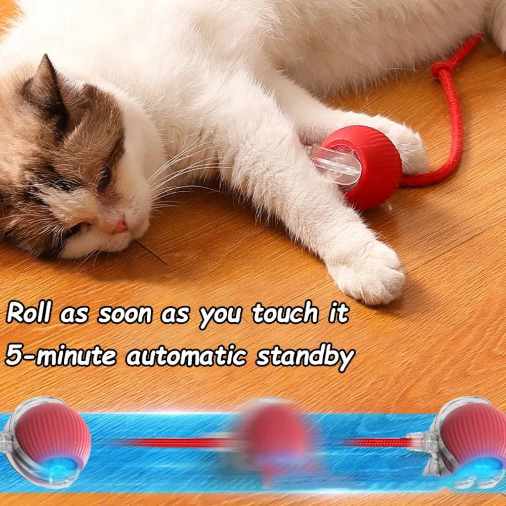 Pet Intelligence Stimulation Toy