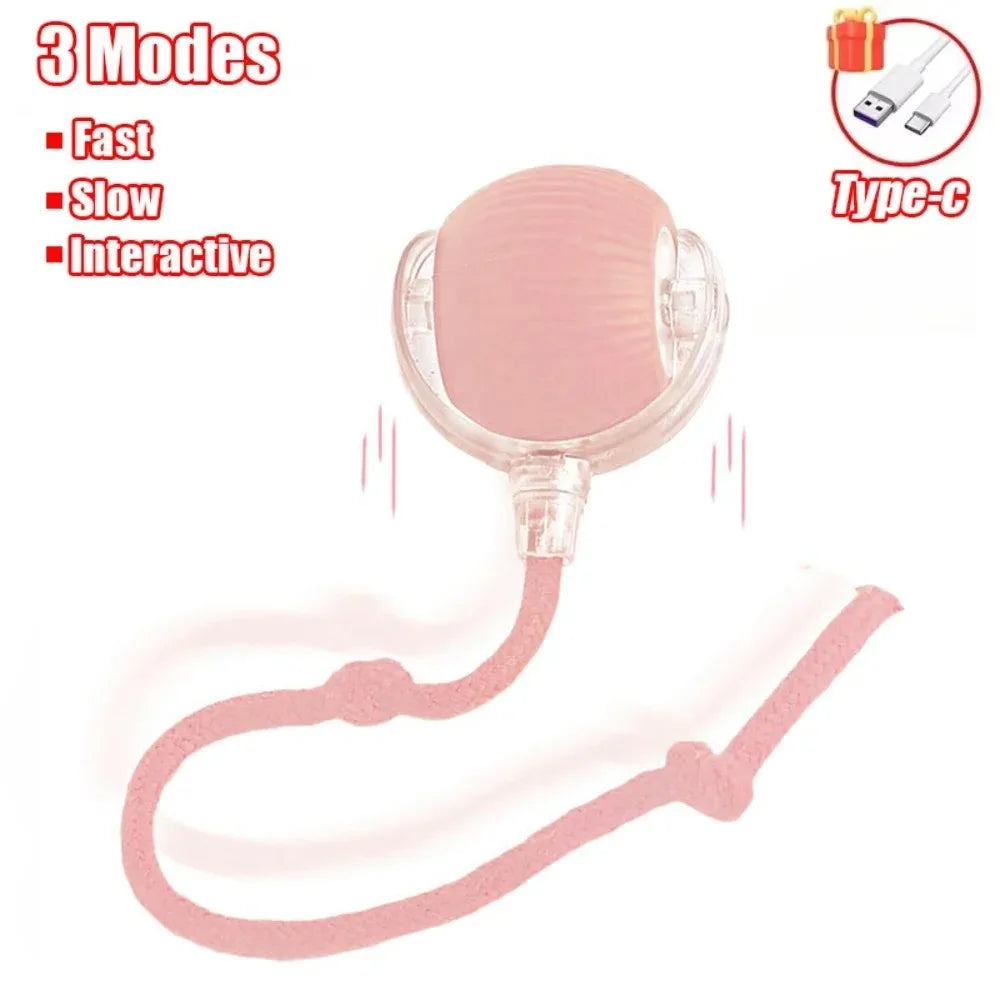 Pet Intelligence Stimulation Toy