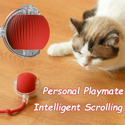 Pet Intelligence Stimulation Toy